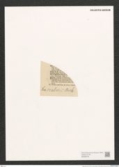 Diatomeae indet. (de-Toni-Nr.: Genus 2099 var.) Zeichnungen Sammlung Grunow (NHMW-BOT-W0368478)